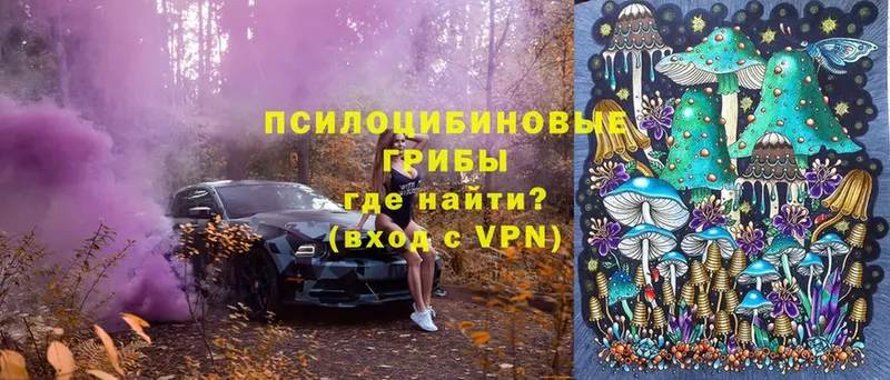 мега ССЫЛКА  Балабаново  Галлюциногенные грибы Magic Shrooms 